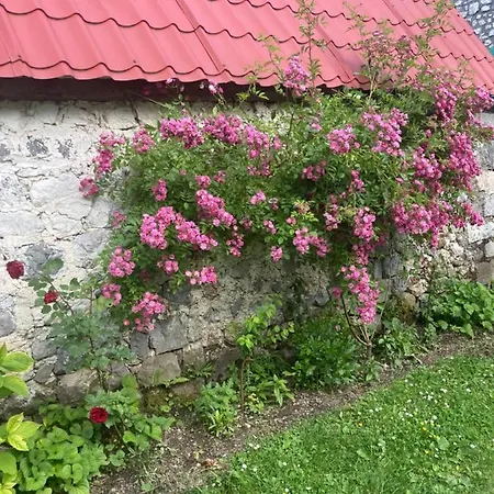 Guest house Kulla E Sadri Lukes