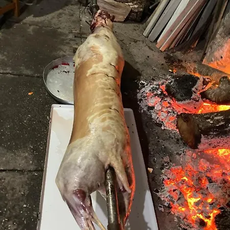 게스트하우스 Kulla E Sadri Lukes 세스