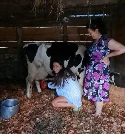 Kulla E Sadri Lukes Affittacamere Theth