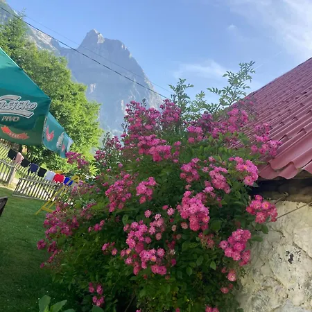 Affittacamere Kulla E Sadri Lukes 4*