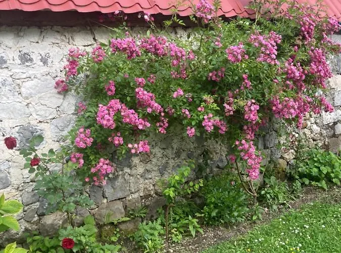 Affittacamere Kulla E Sadri Lukes